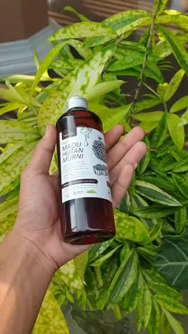 Madu Hutan 350 gram dari Natururlfe #MaduHutan350gramdariNaturlife  #trending #chereatorshearcinsights 
