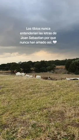 🤍🤌🏻 #joansebastian #amor #joan 
