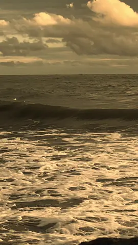 dipersilakan pesan-pesannya