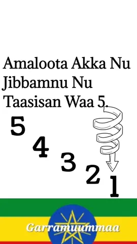 #LIVEIncentiveProgram #MyLIVEJourney #PaidPartnership #comedia #oromotiktok❤️💚❤️ethiopiantiktok #oromotiktok❤️💚❤️💪💪430 #foryou #@wolabummaa1 
