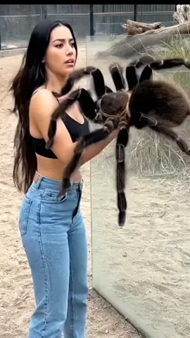 ELA FOI ATACADA POR UMA ARANHA GIGANTE. #aranha #shorts #ai