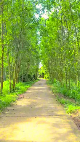 Năng lượng buổi sáng