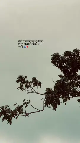 যাত্রা শেষ হয় নি শুধু গন্তব্যে বদলে গেছে।নিখোঁজ আছি তবে❤️‍🩹🫂. . . . . . . . . #highlight #fypシ゚ #foryoupage #💔🥀 #@TikTok Bangladesh #@TikTok #🙂 