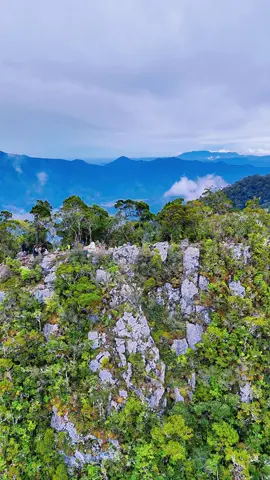 Burnikiliten  #gunungburnikelitentakengon #takengon #aceh #pendakigunung #pendaki 