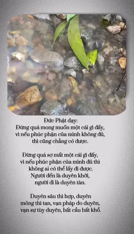 Đức Phật dạy: Đừng quá mong muốn một cái gì đấy,  vì nếu phúc phận của mình không đủ,  thì cũng chẳng có được.  Đừng quá sợ mất một cái gì đấy,  vì nếu phúc phận của mình đủ thì  không ai có thể lấy đi được. Người đến là duyên khởi,  người đi là duyên tàn.  Duyên sâu thì hợp, duyên mỏng thì tan, vạn pháp do duyên,  vạn sự tùy duyên, bất cầu bất khổ.  Nam Mô Bổn Sư Thích Ca Mâu Ni Phật🙏🙏