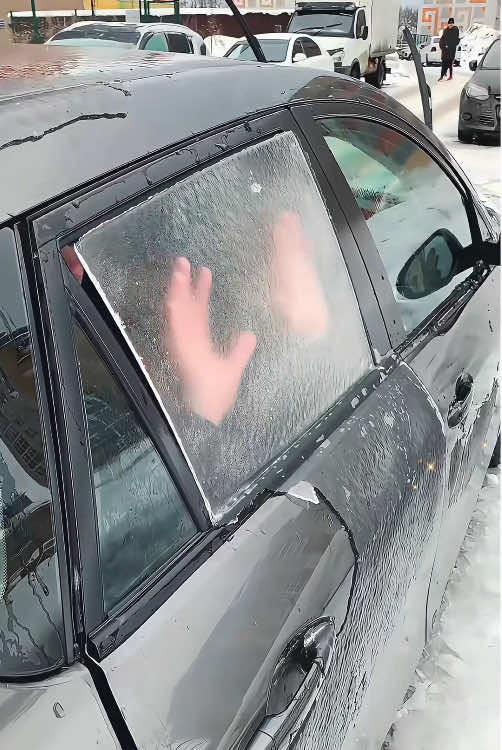 Happiness after an ice storm #asmr #ice #relax #snow #foryou 