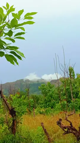 ☘️👍☺️☘️