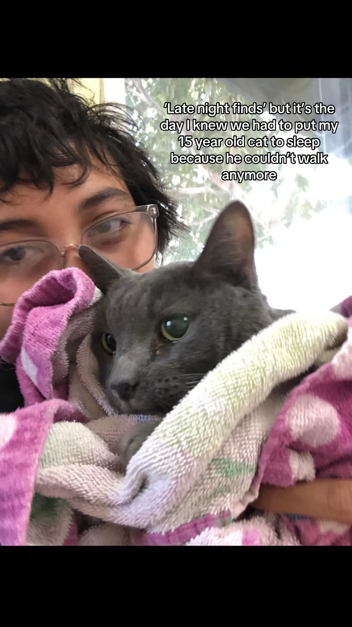 #latenightfinds #cats #trend #fypage #blowthisup  @charlizamora._ 