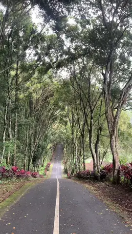 Cakeppp polll😭  #fyp #capcut #curugcipendokpurwokerto #banyumas #curug 