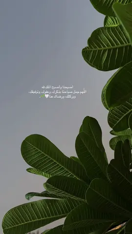 ‏أصبحنا وأصبح الملك لله  ‏اللَّهم جمل صباحنا بذكرك، وعفوك، وتوفيقك، وبركتك، ورضاك عنا🤍🌱. #صباح_الخير #صباحكم_معطر_بذكر_الله #الشعب_الصيني_ماله_حل😂😂 #اكسبلورexplore 