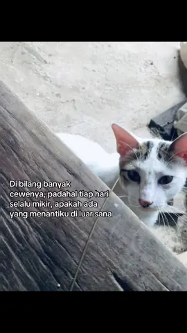 1 aja gak punya wkwk🙃  #katakata #storygalau #foryoupage #masukberandafyp #fypppppppppppppp 