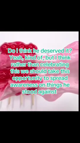 Condolences to his family  Edit: nevermind, just his kids. His wife fully agreed with everything he believed in #viral #charliekirk #leftist #morals #lgbt 