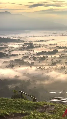 Kamis Pagi Bukit Embun Lampung Barat #bukitembun #lampungtiktok #lampungbarat #fyp 