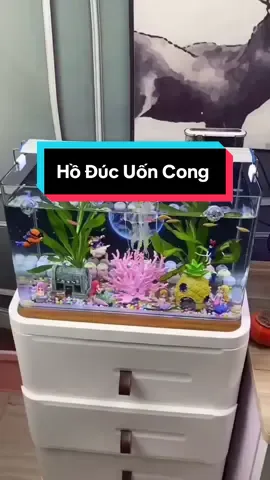 Hồ đúc là bể cá liền khối với thiết kế bo góc cong sang trọng, chắc chắn, hạn chế rò rỉ nước và đi kèm nhiều tiện ích khi sử dụng#hoduc2022 #becacanh #hocacanh #cacanh #xuhuong 