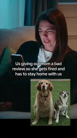 But we only made the last 12 bad reviews. Not the first 3. #dogs #dogsoftiktok #goldenretriever #beaglesoftiktok #dogmom 