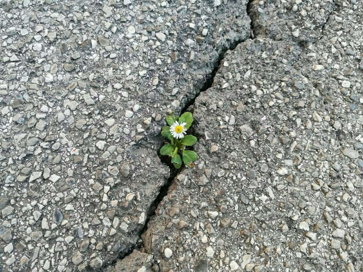 wey en que momento se hace soportable esta serie jajaja, la odio y la amo  #tsitp #belly #conrad #jeremiah #thesummeriturnedpretty 