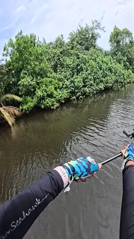 Mancing dengan idola korang @King Curutz di Sungai Sepayang #fyp #toman #castermalaysia😂😂 #ladyangler 