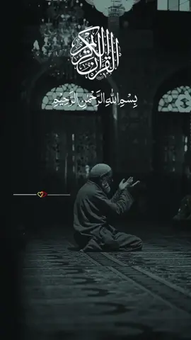 مومنو اسی اللہ کی طرف رجوع کیئے رہو #quranrecitation #urduqurantranslation #islamic_video #quranmajeed #quran 