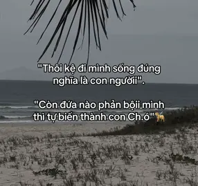 #stt #phoboi #doglife #tinhyeu #fyp     