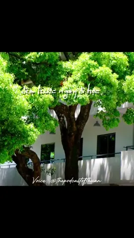 Sau độ tuổi 18, chúng ta có sẽ “về thăm nhà” #wannasay #podcast #healing #chualanhtamhon #thuanpodcast 