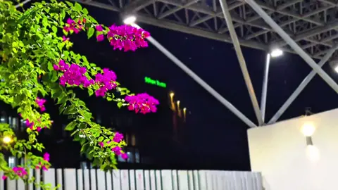 😊😊#foryou #support #unfreeezmyacount #viral 