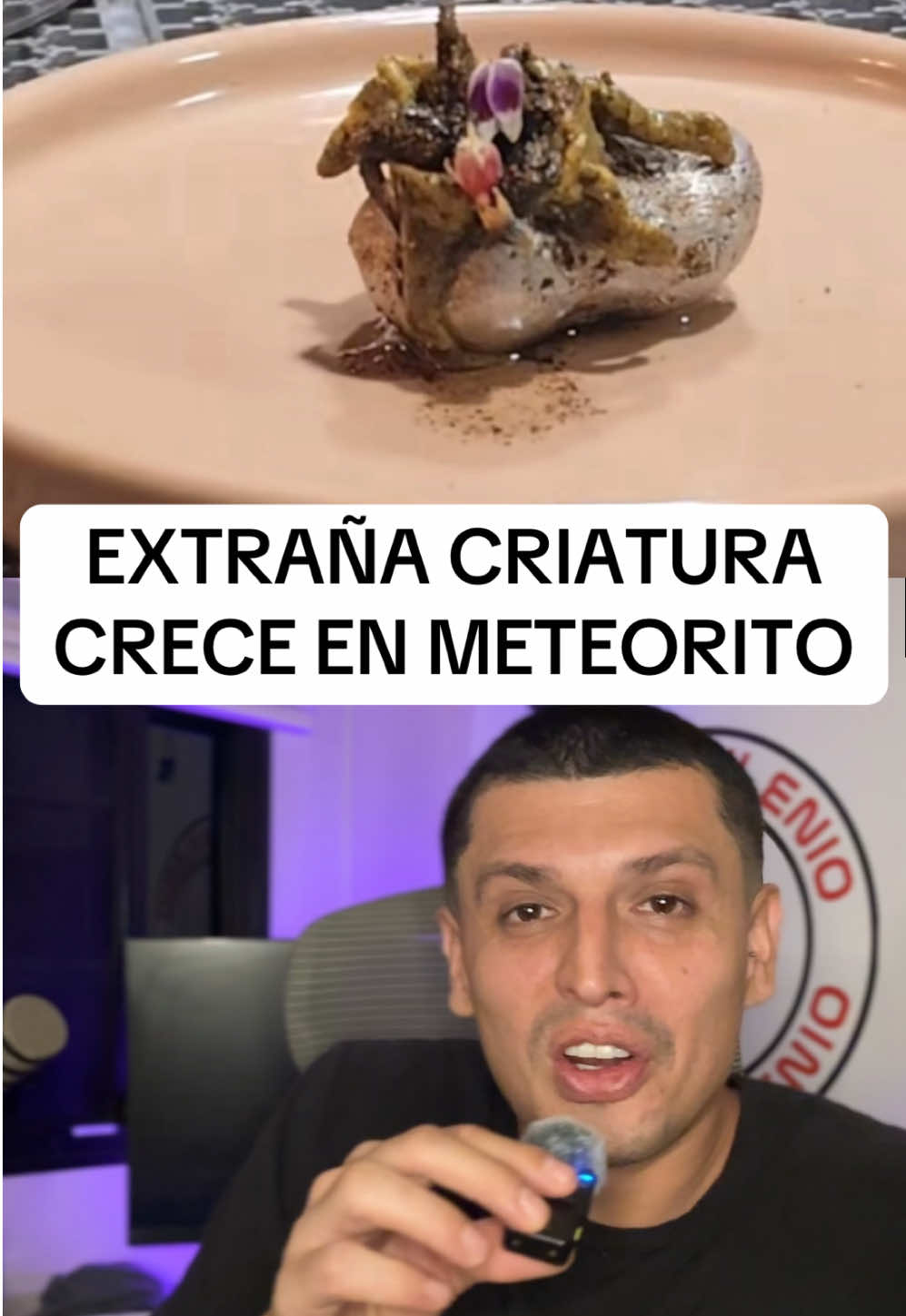 UNA EXTRAÑA CRIATURA CRECE EN UN SUPUESTO METEORITO EN PANAMÁ #nuevomilenio 