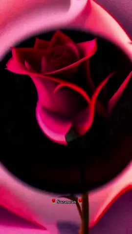 #☝️☝️☝️☝️ #🌹🌹🌹🌹🌹 #🕋🕋🕋🕋 #❤️❤️❤️❤️❤️ #allah❤️🕋❤️🕋🕋🕋 