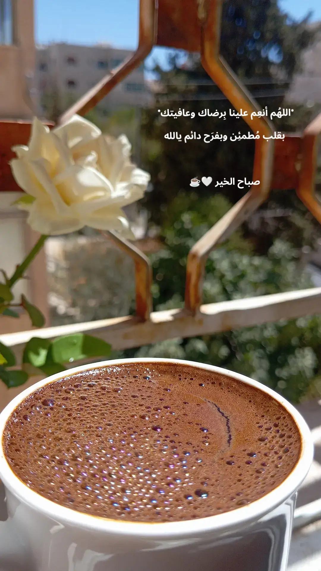 #صباح_الخير #يسعد_صباحكم #صباح_الورد #قهوتي #قهوة_الصباح 