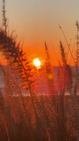 Sometimes this is all my soul needs 🌅#sunset #beach #health #therapy #healing 