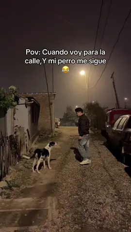 A quien le pasa jaja xd,#viral #perros ##humortiktok #paratiiiiiiiiiiiiiiiiiiiiiiiiiiiiiii #contenido 