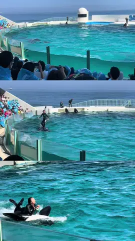 kamogawa sea world#fyp