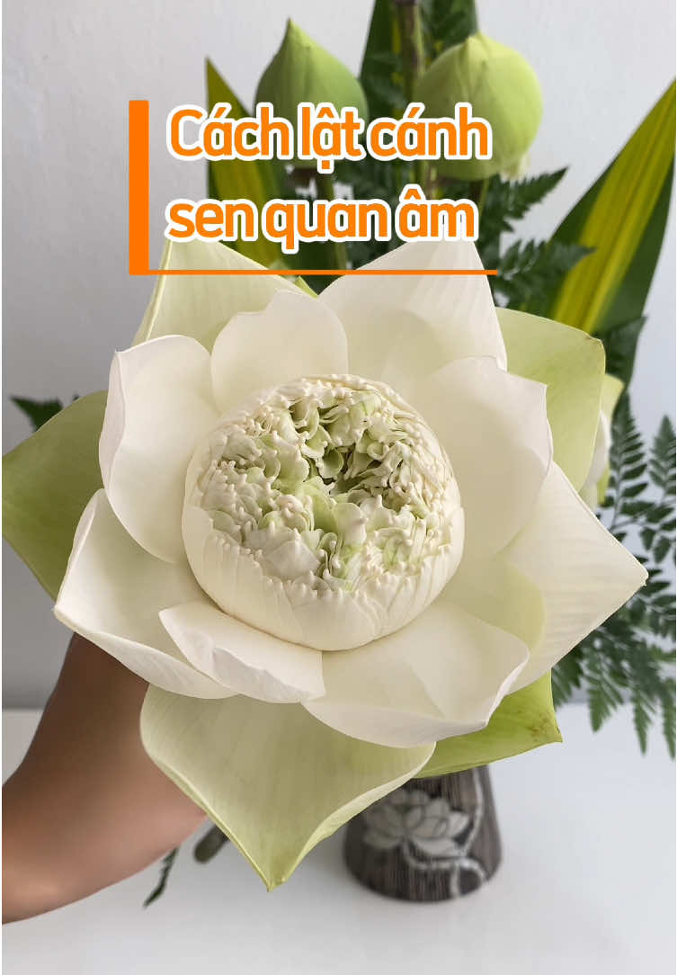 Cách lật cánh sen quan âm trắng. #tiemgomvahoaluabongbong #senquanamtrang #camhoadangphat #hoasen #binhmathocamhoa 