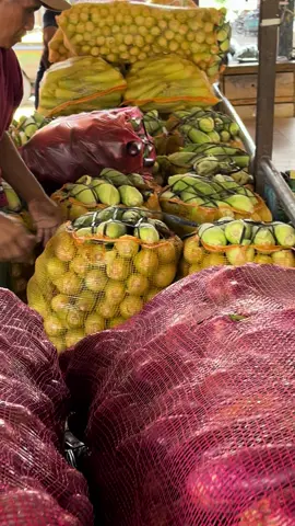 sedang tidak baik baik saja😄#fypシ゚viral #petaniindonesia🇮🇩🇮🇩🇮🇩🌿🌿 #petanimuda #kediri24jam 