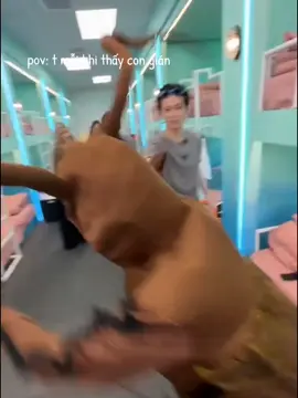 con gián này to 🪳#misthy #vungocanh #chidepdapgio2024 #xuhuong #fyp 