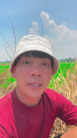 Sao hay vậy quá 😂