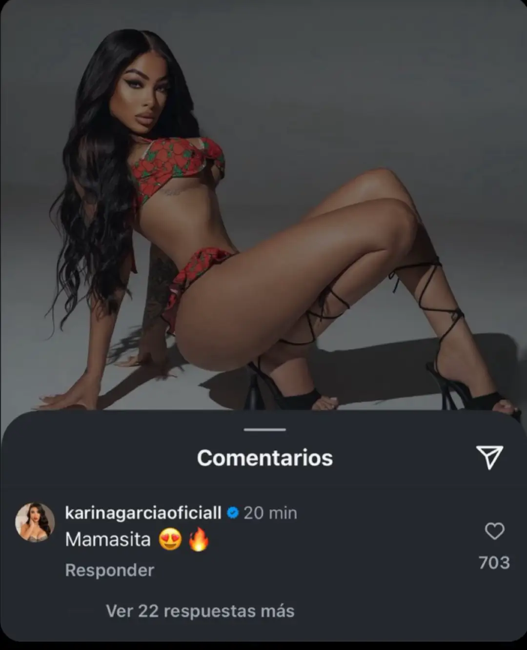 #karinagarciaoficiall #karinagarcia #parati #viraltiktok #viralvideo #karina #foryou #yailinlamasviral #yailin 