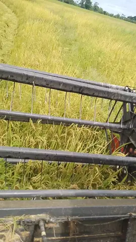 #ရိုးသားစမ်းပါ #1millionaudition 