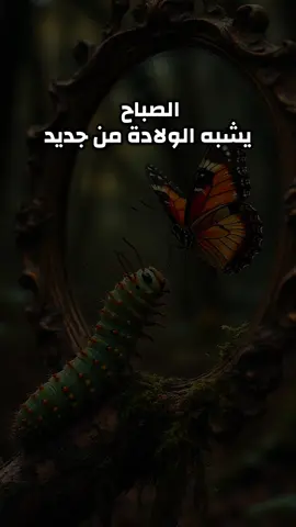 الصباح يشبه الولادة من جديد#صباح_الخير #اقتباسات #اقتباسات📝 #عبرات_جميلة_وقويه😉🖤 #خواطر 