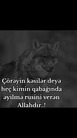 Allahdır❤️)#fyppppppppppppppppppppppp #kesfetbeniöneçıkart 