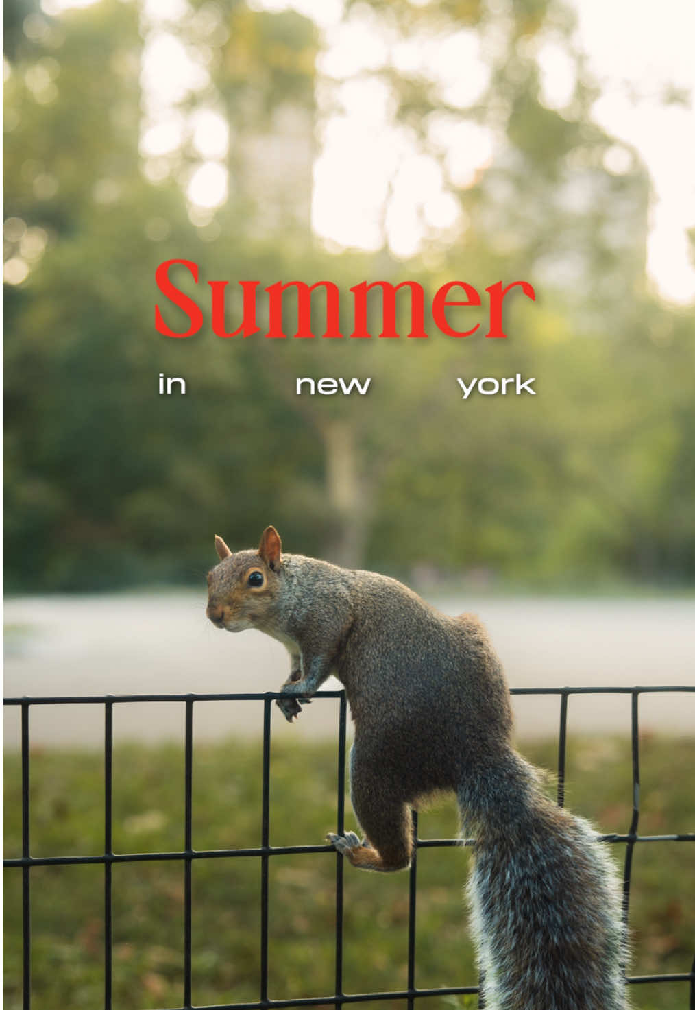 New York in the summer feels like a dream ☁️✨ A blur of late sunsets, walks in the park, and life in every corner. But as the heat fades, I’m excited for the crisp air and warm colors of fall 🍂 Which season makes you fall in love with New York the most? (it’s autumn for me)