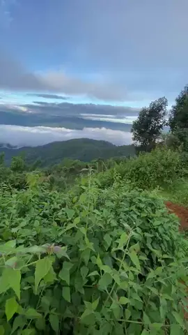 #ဧရိယာပြင်ပသို့🏞️🍃 #creatorsearchinsights 