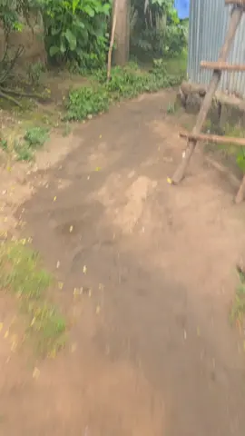 ክፍል ሁለት↔️