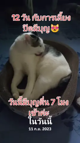 #วันนี้ในอดีต