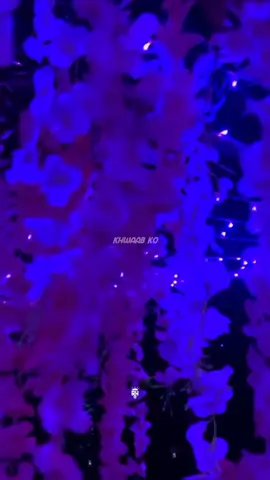 #duet with @Raheel Anees #naamewafa 