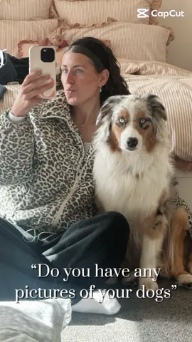 My Stormi Girl #aussie #puppy #dogs 