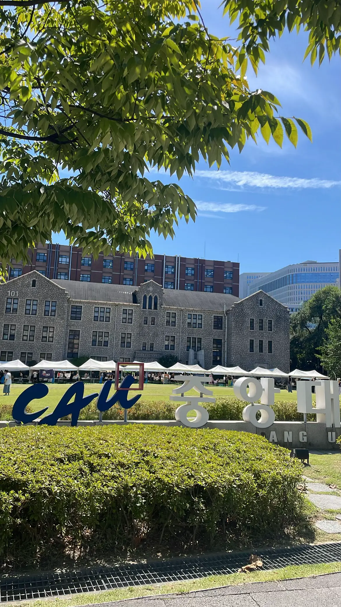 #chunganguniversity #유학생🇰🇷🇻🇳 