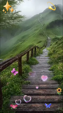 #🌸🦋anabrilliante #TikTok #CapCut #loveyou #✨❤️💫🌸🦋🌼🌻🍀🌕🌎🌑 