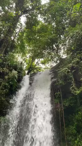 #fyp #curugduaundak #masukberanda #gununghalimunsalak🌲 