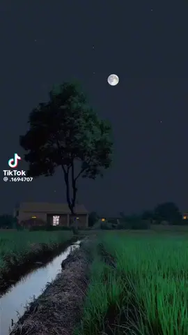 كتبت في البحث ايه تمثلني طلعت الايه دي اللهم شعور هذه الايه اللهم آمين 🤲🏻🤲🏻🥹🥹