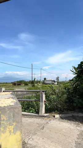 Cukup dalan kate muat ae sg terhalang,awak dewe ojo 😁 prepare 🔥#bakulgabah🌾 #gabahbalap🌾 #jombang24jam #foryoupage #gabahsuper🌾🇮🇩 